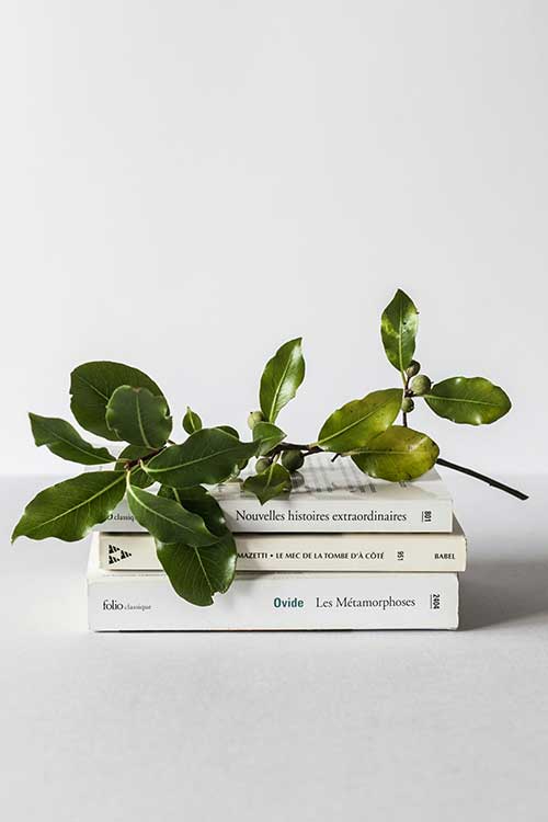 book-author3